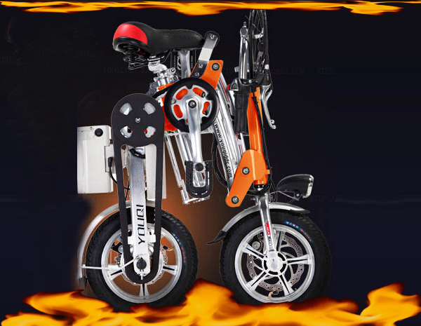 Foldable Electric Bike Foldable Electric Scooter bicycle 200w