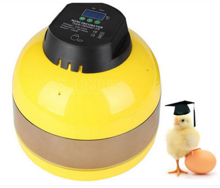 Automatic Digital 10 Eggs Incubator For Hatching Chicken Duck Goose 