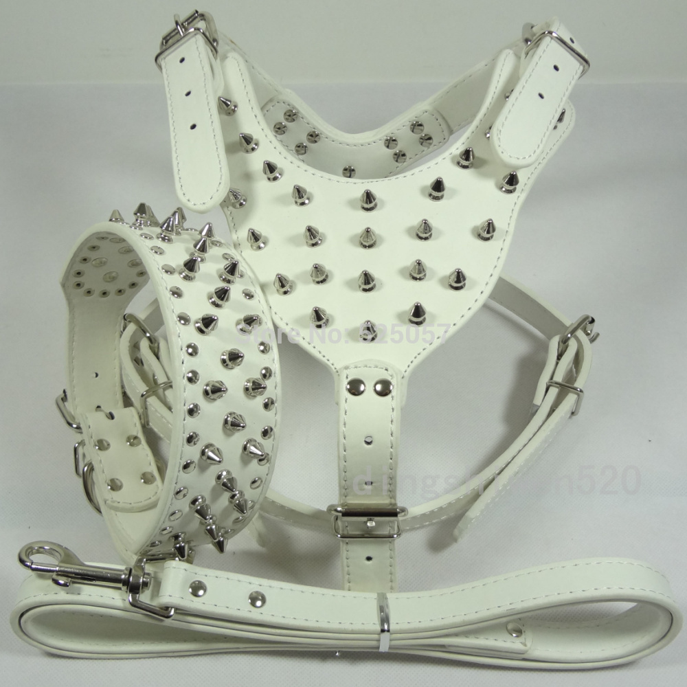 Dog leash and harness set