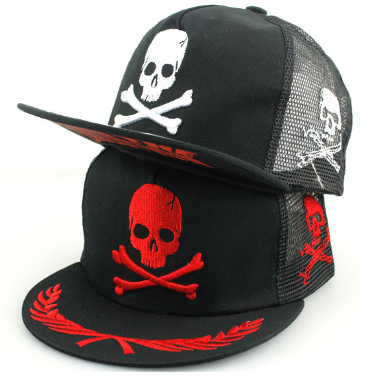 Raiders Cap Flat Brim Baseball Caps For Men Women Casual Trucker Hat. www.aliexpress.com.