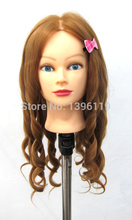 free shiping 27 hair clour real hair 22 head hot roll dummy heads training heads for