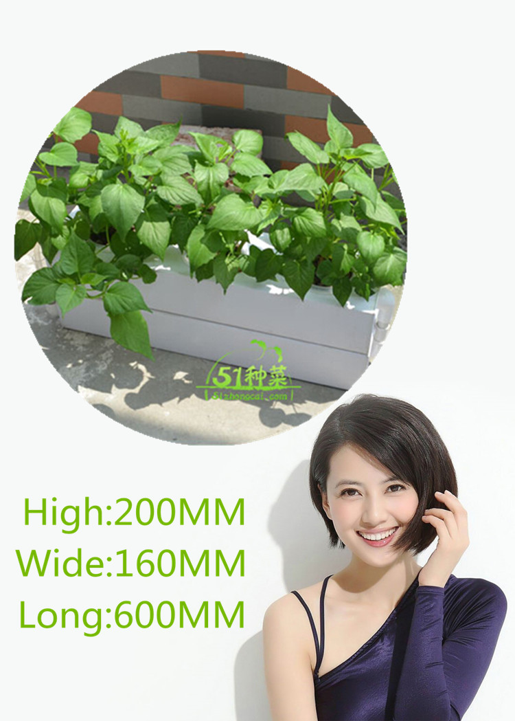 Hydroponic farming necessities hydroponic herb garden