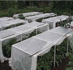 Non woven Fabric Frost Protect Cover Greenhouse Plants vegetable.jpg greenhouse vegetable plants Non woven Fabric Frost Protect Cover Greenhouse Plants vegetable.jpg greenhouse vegetable plants