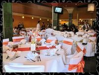 Free shipping sash-- satin sash - polyester chair cover sash