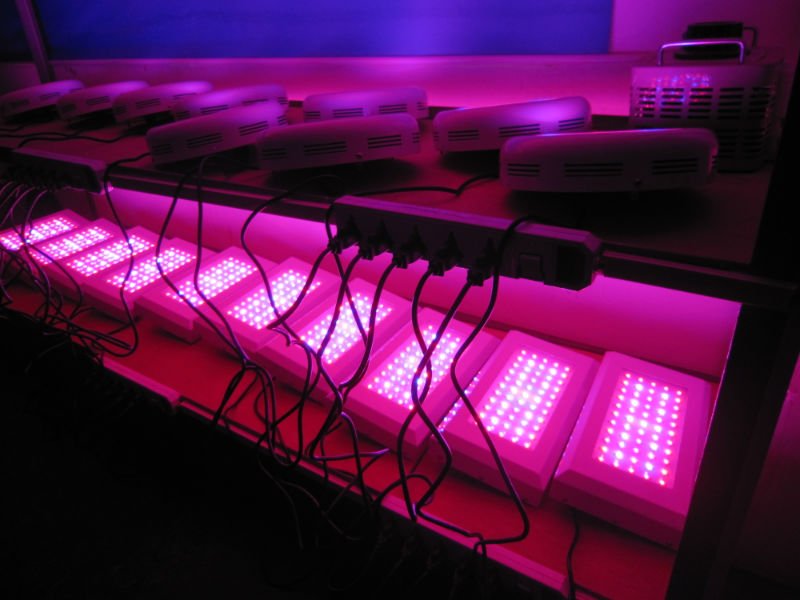 Does Lowes Sell Led Grow Lights