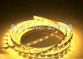 led 2 set 5M 300leds LED light Strip wateproof warm white 3528-60 SMD strip + 90V-264V AC to 12V 3A 36W led driver POWER