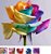 Rainbow colors Roses seeds Back,green,10 colors multicolour rose seed Flower Flowers planting Garden