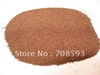 artemia cysts    Brine shrimp eggs can of 90% hatch   market one's own products 500g/pack