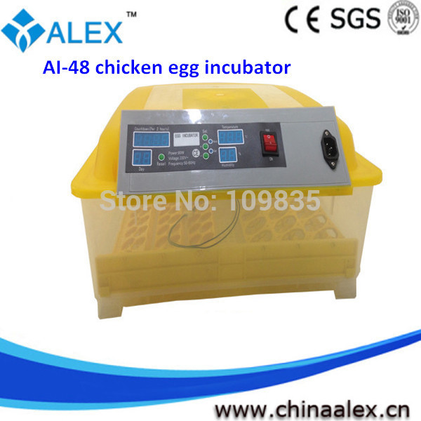 Digital egg incubator thermostat 48 eggs chicken egg incubators sale 