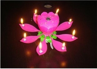 Lotus Flower Candle Light Birthday Party Music Sparkle cake candle ...