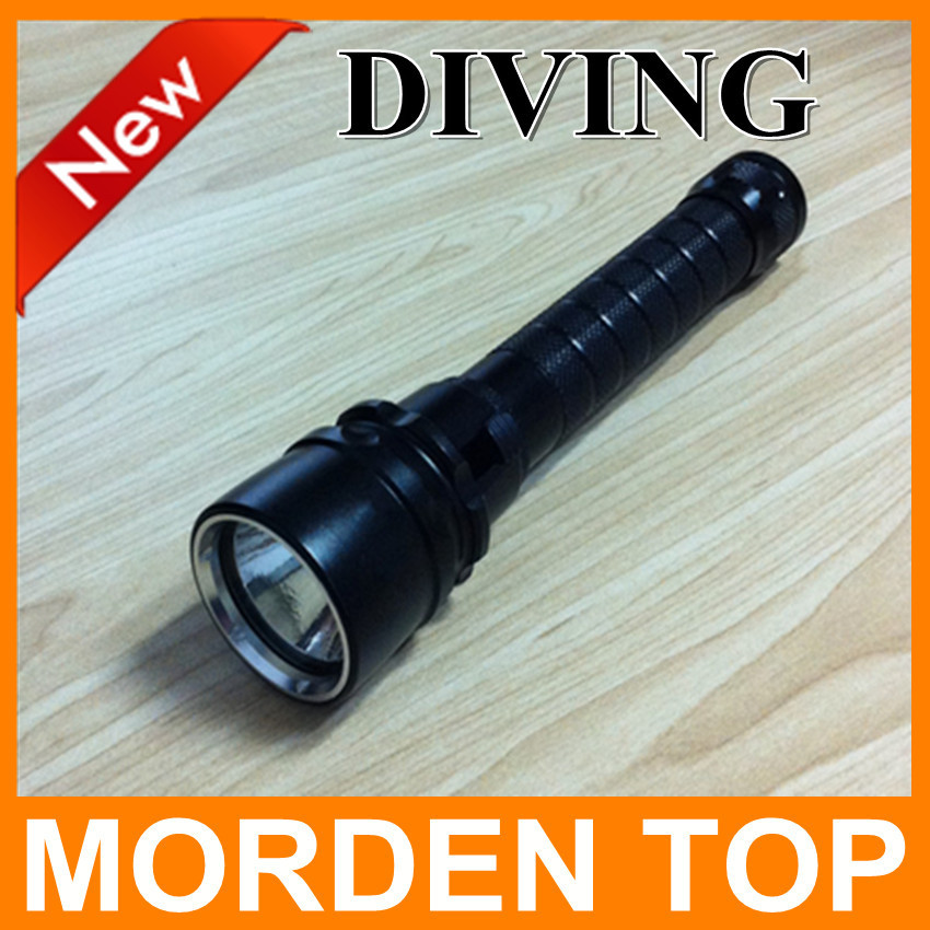 ... bright fishing torch light free shipping-in LED Flashlights from