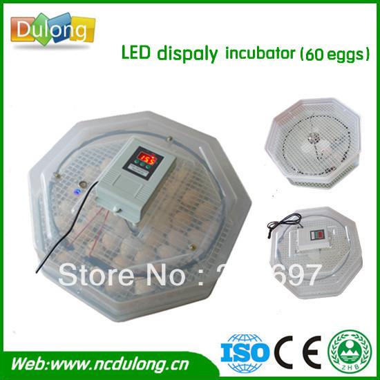 Competitivecholding-60-chicken-incubator-egg-hatching-machine.jpg