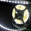 3528 300 5M LED Strip SMD Flexible light 60led/m indoor non-waterproof  warm/white/red/green/blue/yellow Ribbon