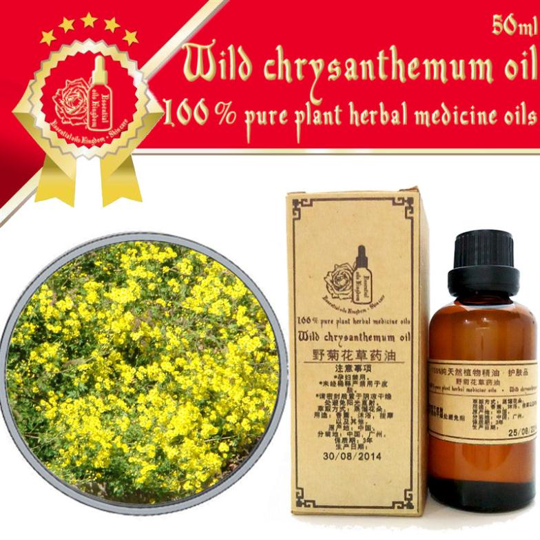 100% pure plant herbal medicine oils Wild chrysanthemum oil 50ml 