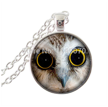 fashion owl necklace for women 2015 silver chain bird jewelry antique glass photo art pendant necklace