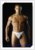 Free Shipping!!-Men's g-strings/Men's Briefs/mens thongs/ Underwear/4 Colors+Mix Order/ (N-229)
