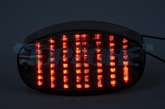 Tail lights dog motorcycle