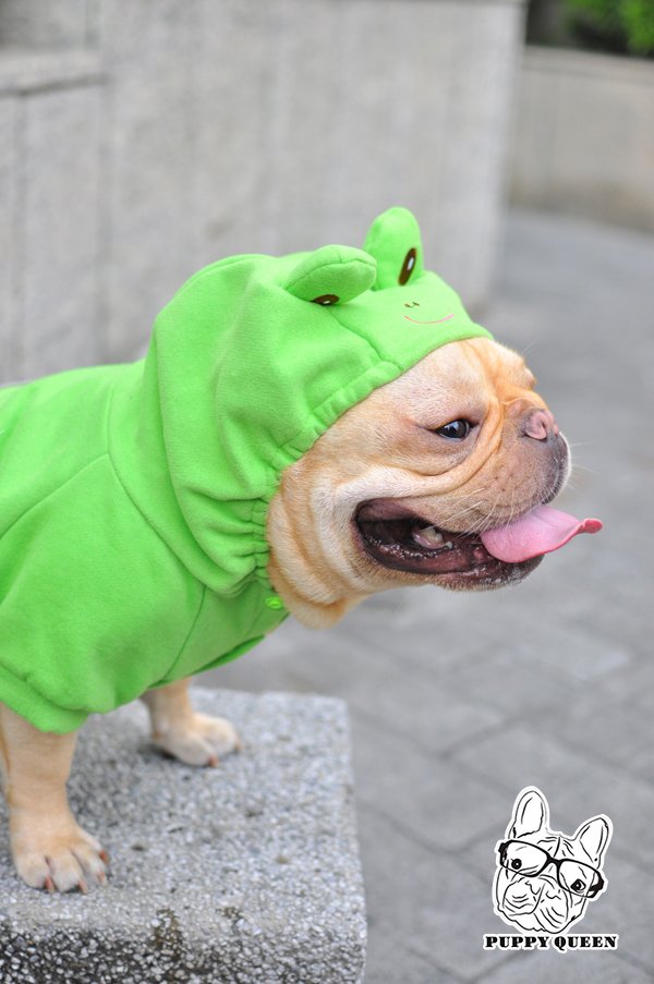 Frog With Clothes