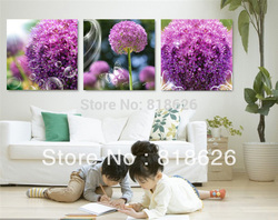 3 Panel Wall Decoration Flower Painting Canvas Hanging Picture Art , Free Shipping pt29(China (Mainland))