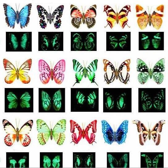 Simulação escura do ímã da borboleta/refrigerador da luminescência, venda por atacado luminosa do brinquedo da borboleta similar à luz da noite