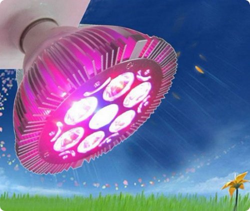 free shipping 10pcs/lot 7W LED Spot Grow Light for potato , tomato etc(China (Mainland))