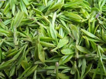 500g Top Grade 2015 Spring Newest Huangshan MaoFeng Tea Yellow Mountain Chinese Green Tea Natural Organic