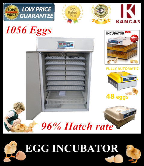  egg-incubator-CE-professional-automati-temperature-for-hatching