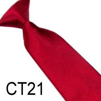 Ҹ           ct21