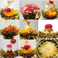 20 kinds Blooming tea, Artistic Blossom Flower Tea,Free Shipping+Free Gift(China (Mainland))