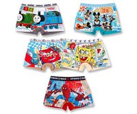 Free Shipping,Wholesale(16 pcs/lot),Cartoon Pattern Kids Panties/Children Underwear/Children Garment/Babies Briefs